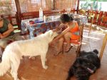 aurora_e_antonio_127