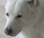 bab_1_GENNAIO_2013