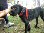 bricco9_8081