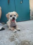 charlie1