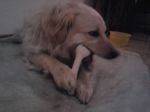 chicco_testimonianza1