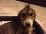 clotilde_testimonianza1