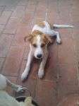 clyde3_8382
