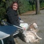 cometa_testimonianza3