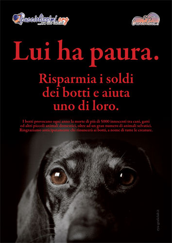 contro i botti 2013