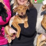 cuccioli_acilia_2
