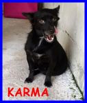 dharmaekarma3