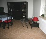 elvis_e_carlo