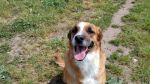 ester_20160430_114120
