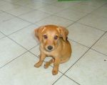 gaia_copy