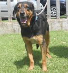 gaia_villa_andreina