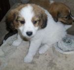 giadina1_7014