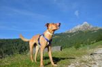 grace_e_remo_4