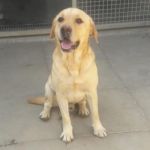 gregorio_2
