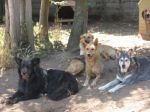 ilgruppo