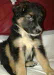 jack2