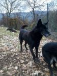 janez_fidolandia_2