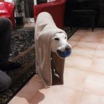 jerico_testimonianza_5