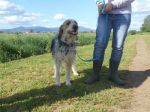 lidia_5