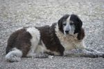 linda_rifugio-di-lanuvio1