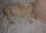 luca3ok_8874