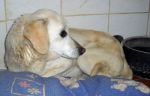 luna_marche1