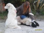 maremmani_cilento3