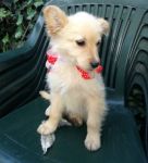 margot6ok_16728