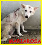 mariarosa