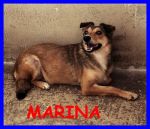 marina_copy