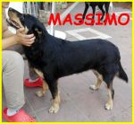 massimo