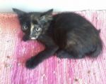 mici-maria_1