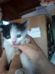 mici-maria_2