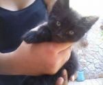 mici-maria_5