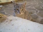 micini_mamme_1
