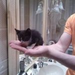 mignon
