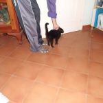 nerina_e_antonio