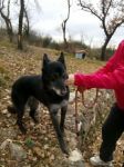nerina_fidolandia_copy