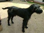 nerone1_copy