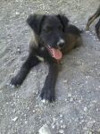 nerone_aragona2