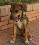 nino_lucy_1