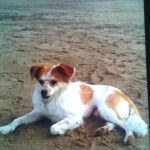 nino_testimonianza1