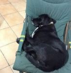 pablo_2