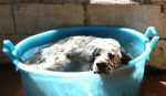 pensiero_bagno_A0002