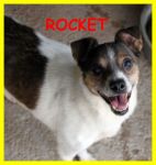 rocket