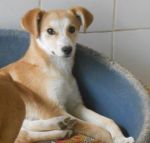sandy_3