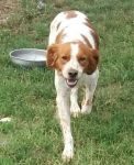 sebastian-20190908-WA0002-1_copy