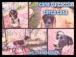 senza_nome