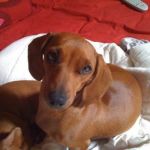 smarrita_finaleligure2