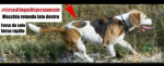 smarrito_parcoacquedotti_1